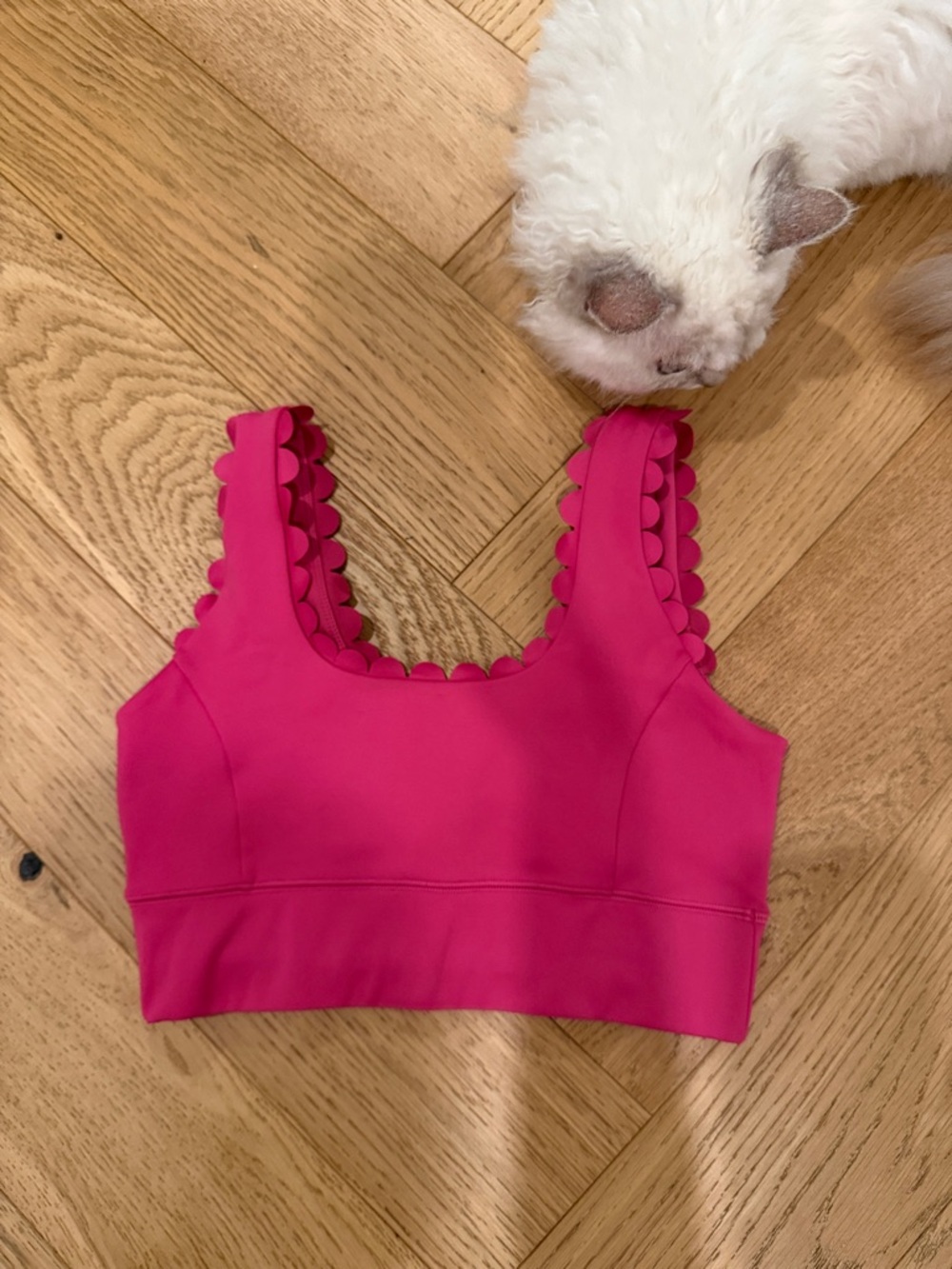 Hot Pink Scalloped Trim workout top